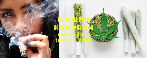 винт Бородино