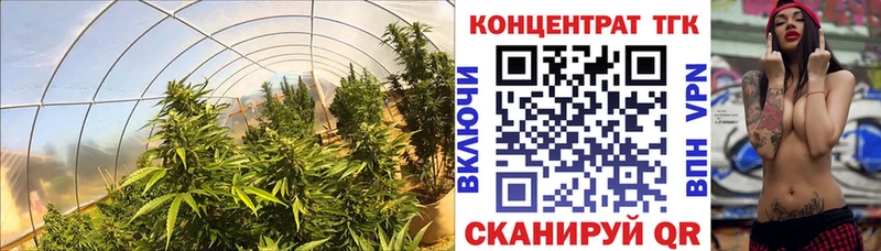 Дистиллят ТГК гашишное масло  наркошоп  МЕГА как зайти  Тогучин 